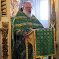 Photo 39